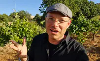 סרטוני חידות מרתקים עולים לאוויר