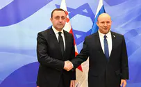 Bennett meets Georgian PM to discuss trade, agriculture
