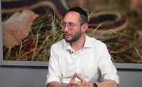 נתקלתם בנחש, מה עושים?