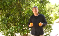 אתגר השבע – רץ ברשת             