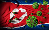 Watch: N. Korea facing new, unnamed epidemic amid COVID outbreak