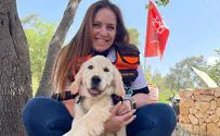 Pyschotrauma support following deadly crash that killed cop