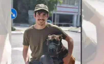 Rescue dog poisoned during search for missing woman