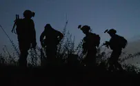 Security forces arrest 11 wanted terrorists 