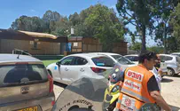 4-year-old nearly drowns after suffering seizure in pool