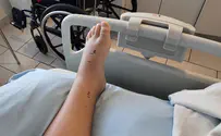 ליאור יצאה מהחדר, צפע המתין בפינה