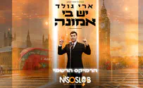 המעבדה של DJ ניסו סלוב עם רמיקס חדש