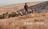 נפשי ישובב - ג'רמי גימפל בעקבות דוד המלך