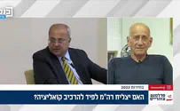 "אחמד טיבי לא יכול להיות שר בממשלה?"