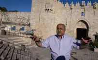 Tibi's party to remain part of Joint List