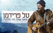 לראשונה, טל פרידמן בשיר בלי אף פאנץ'