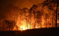 Watch: Passengers terrified as wildfires surround train