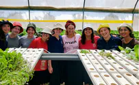חניכות אריאל חוזרות מהשדות "באורות"
