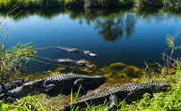 Mayor married alligator 'for luck'