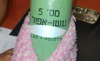 כיסה את הראש והשליך רימון לעבר תחנת דלק