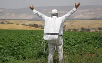 Journey of the Land