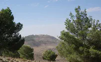 Why Moshe was not privileged to be buried in Eretz Yisrael
