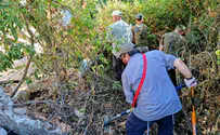 Israel Dog Unit goes bushwhacking looking for missing teen