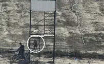 Экипаж танка увидел девочку и не стал стрелять. Видео