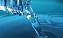 The Nectar of life