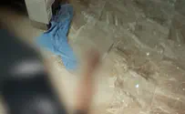מסתערבי מג"ב חיסלו מחבל שניסה לדקור אותם