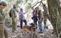 150 days later: IDF joins hunt for missing teen
