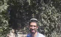 תיעוד נדיר משפרעם: עץ הזית העתיק בעולם