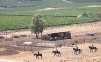 Police call on IDF to assist in search for missing 16-year-old