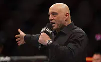 MSM enraged with Joe Rogan's political endorsement