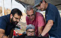 תגלית היסטורית: שן פיל בת חצי מיליון שנה 
