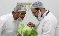 Members of incoming gov. discuss plan to replace kashrut reform