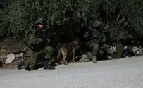 נעצרו מחבלים שיידו אבנים ובקת"ב בכביש 5
