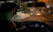 Watch: Man lets dog drive car