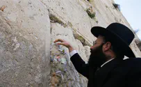 תיאסר כניסת בעלי חיים למעלה המוגרבים