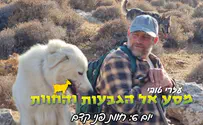 חוות פני קדם            