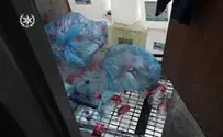 המשטרה פשטה על אולמות פיראטים בבני ברק