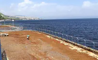 סוף הקיץ: הכינרת אף פעם לא נראתה טוב יותר