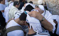 קלי קללות                           