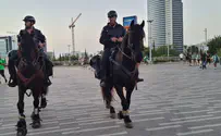 לפני משחק העונה: אלימות קשה בחיפה