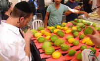 מדוע נעלמו שווקי ארבעת המינים? 