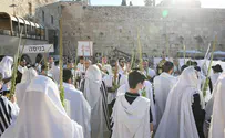 צילום: הקרן למורשת הכותל המערבי כל הפרטים על אירועי סוכות בכותל המערבי