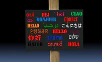 Bilinguals show more robust brain capability than monolinguals