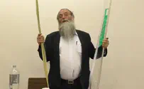 המדריך המלא לבחירת ארבעת המינים