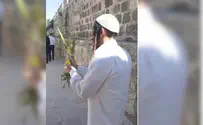 עולי הר הבית שנטלו לולב קיבלו מענק כספי