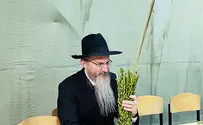 סוכות בקהילה היהודית ברוסיה - גלריה