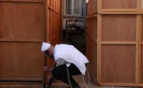 Plague of mice threatens ability to observe Sukkot holiday