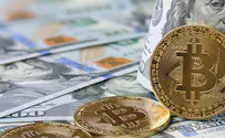 How Do Online Transactions Contribute To Any Business’s Growth? 