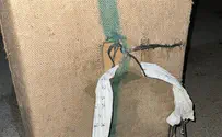 IDF thwarts drug smuggling attempt worth NIS 820,000