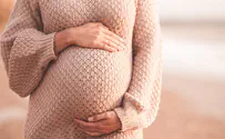 IVF mixup: 'Declare expectant mother as infant's legal mother'
