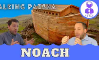 Why didn't Noach leave the ark?